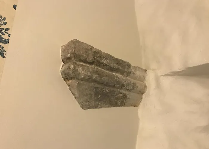 Old Bishop's House *