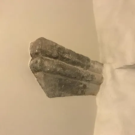 Old Bishop's House *